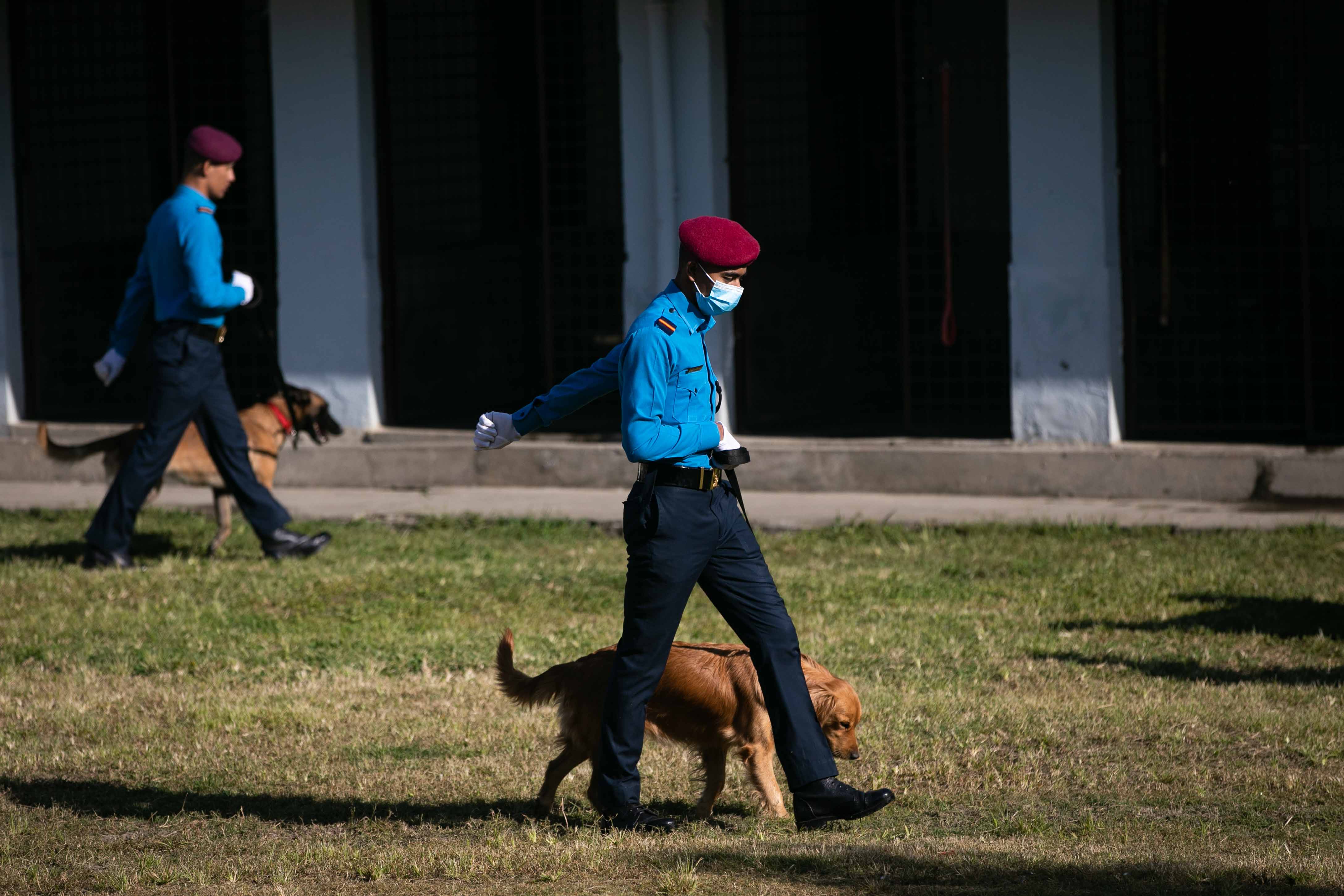 Nepal police dog festival-Nepal Photo Library  (7)1666603831.JPG